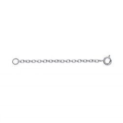 chaine-d-extension-forcat-2mm-argent-8694838
